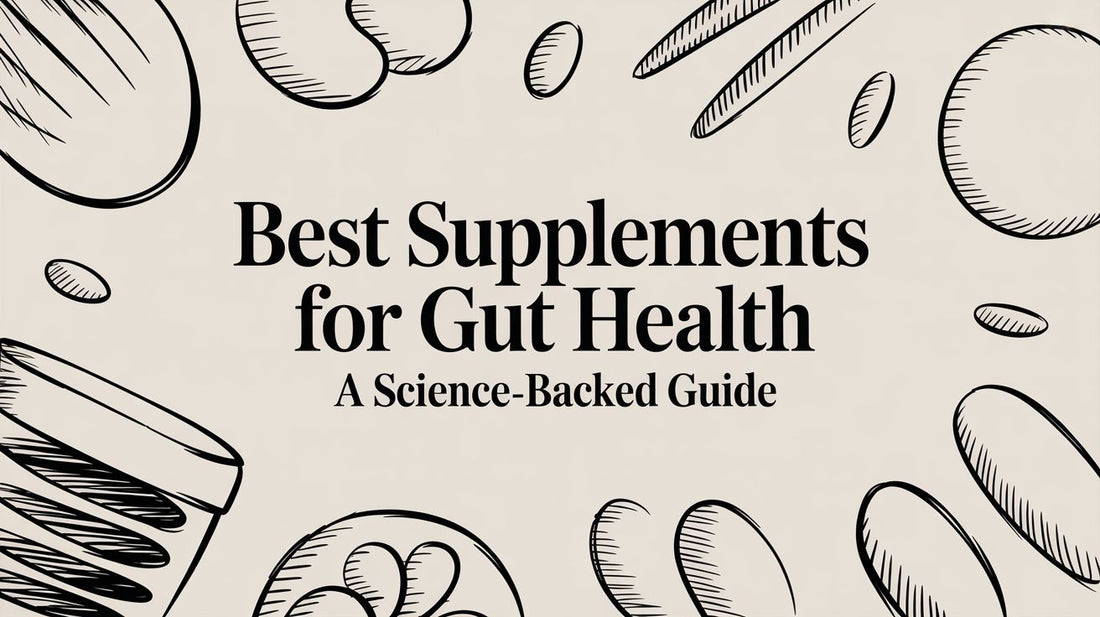 Best Supplements for Gut Health a Science-Backed Guide