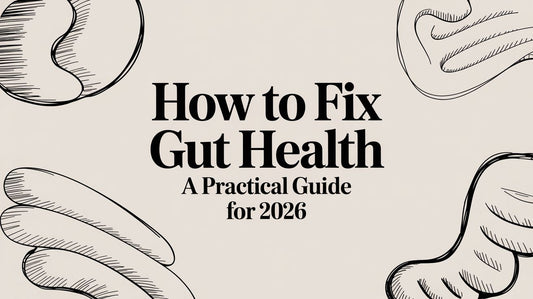 How to Fix Gut Health A Practical Guide for 2026