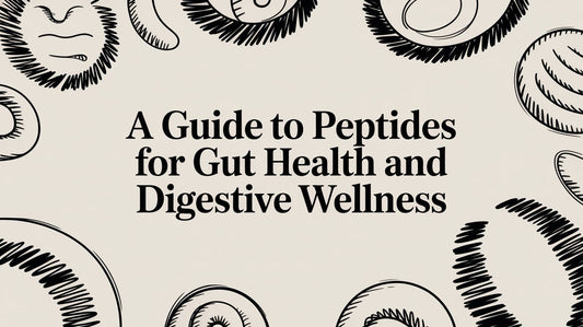 A Guide to Peptides for Gut Health and Digestive Wellness
